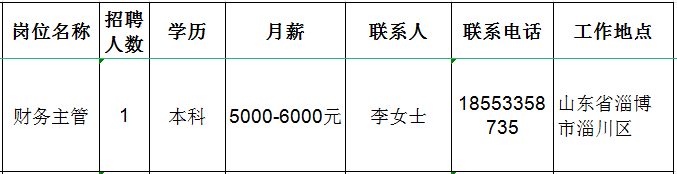 山东民生国际贸易有限公司招聘财务主管