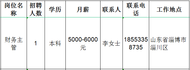 山东民生国际贸易有限公司招聘财务主管