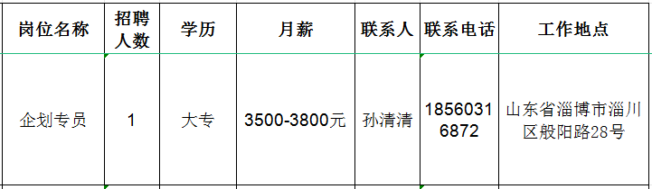 厦门盛名吉成百货有限公司淄博分公司招聘企划专员