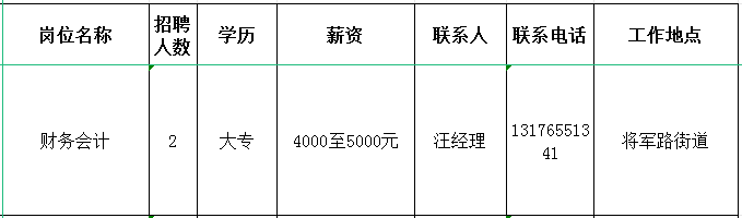 淄博东昇新材料科技有限公司招聘财务会计