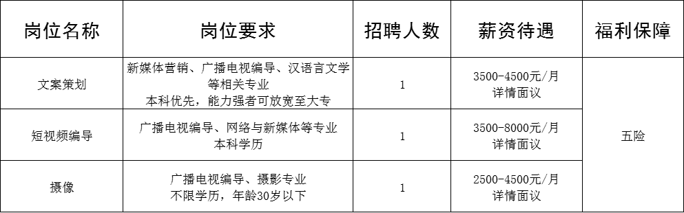 淄博六小豆文化传媒有限责任公司招聘文案策划,短视频编导,摄像