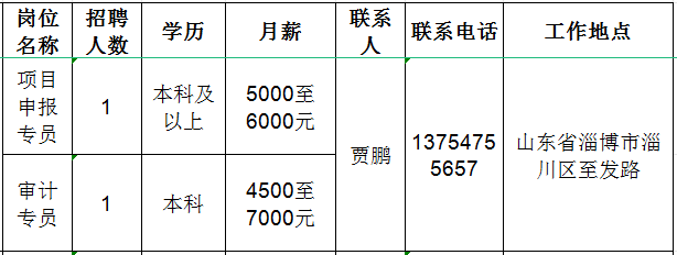 山东佳能科技股份有限公司招聘项目申报专员,审计专员