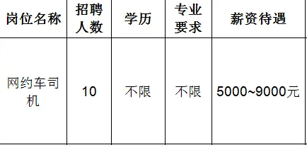 淄博联旗时代信息技术有限公司招聘网约车司机