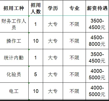 山东宝塔新能源有限公司招聘财务人员,操作工,统计内勤,化验员,电工