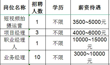 淄博天翊能源科技有限公司招聘短视频拍摄运营,项目经理,职业经理人,业务经理