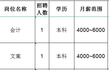 山东金科力电源科技有限公司招聘会计,文案