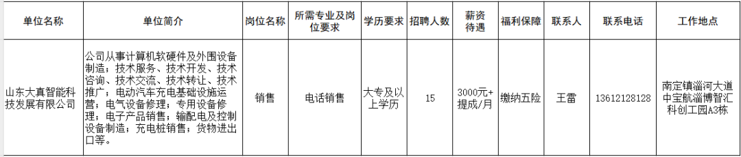 山东大真智能科技发展有限公司招聘销售人员
