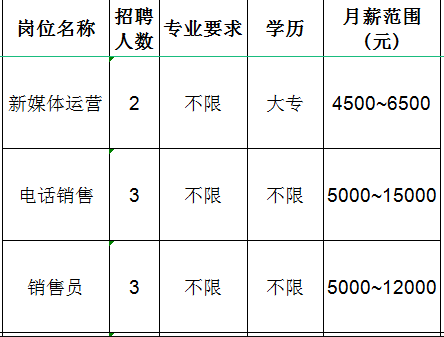 淄博鼎泽化工有限公司招聘新媒体运营,电话消售,销售员