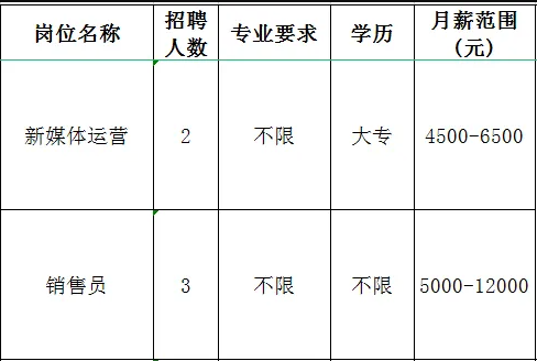 淄博鼎泽化工有限公司招聘新媒体运营,销售员