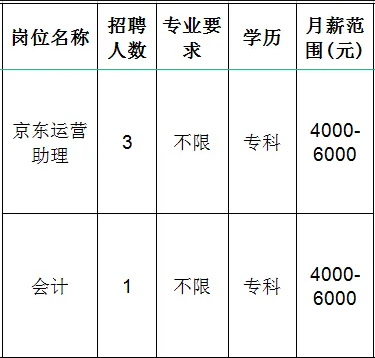 淄博乖娃娃服装销售有限责任公司招聘京东运营助理,会计