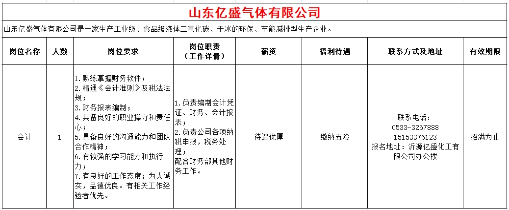 山东亿盛气体有限公司招聘会计