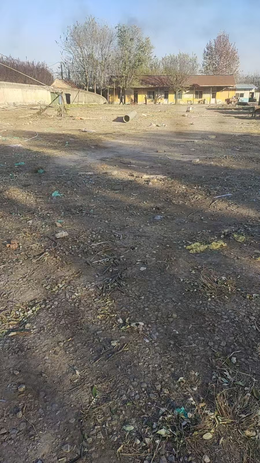 桓台县果里镇楼里村委独院场地出租