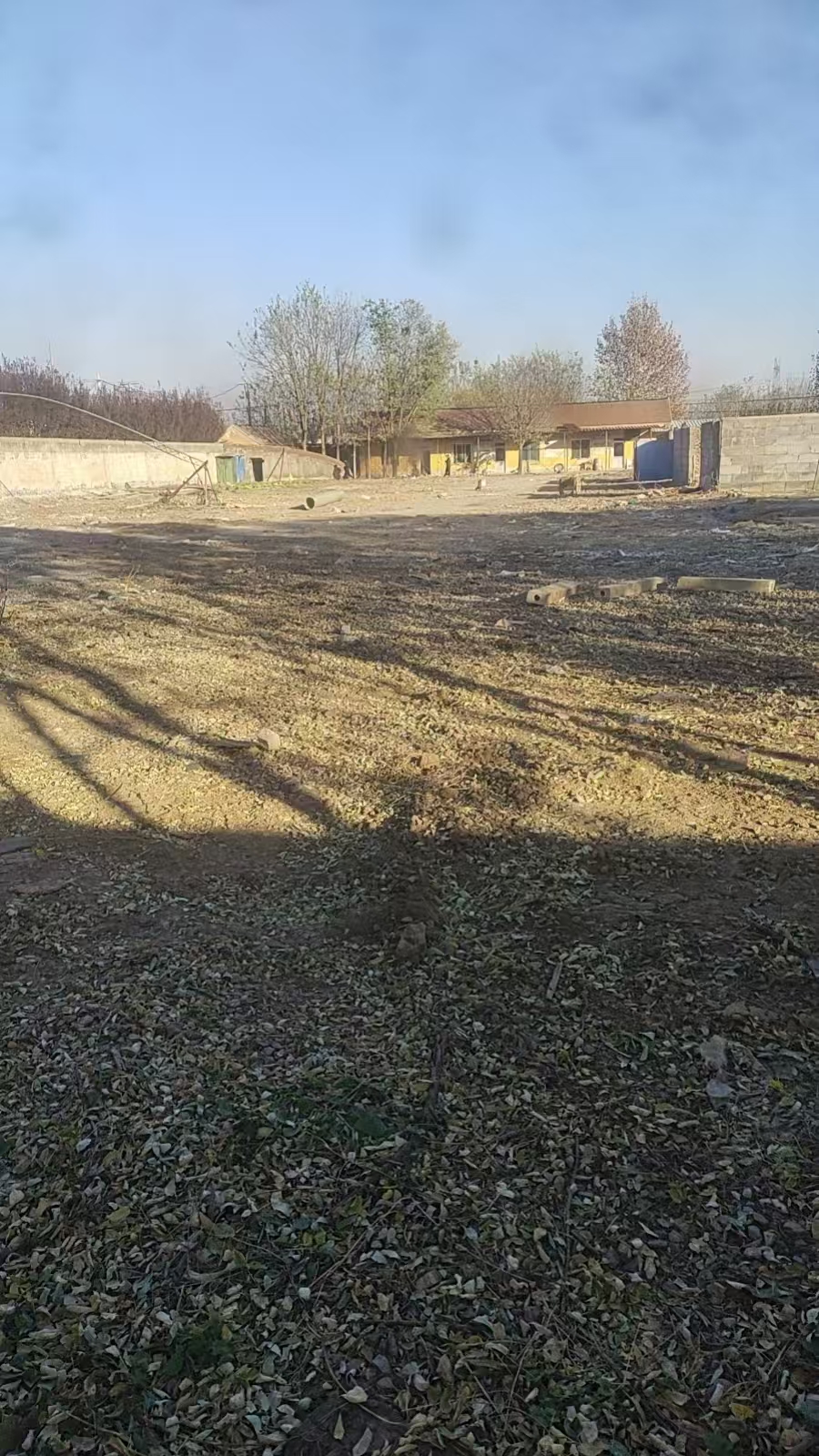 桓台县果里镇楼里村委独院场地出租