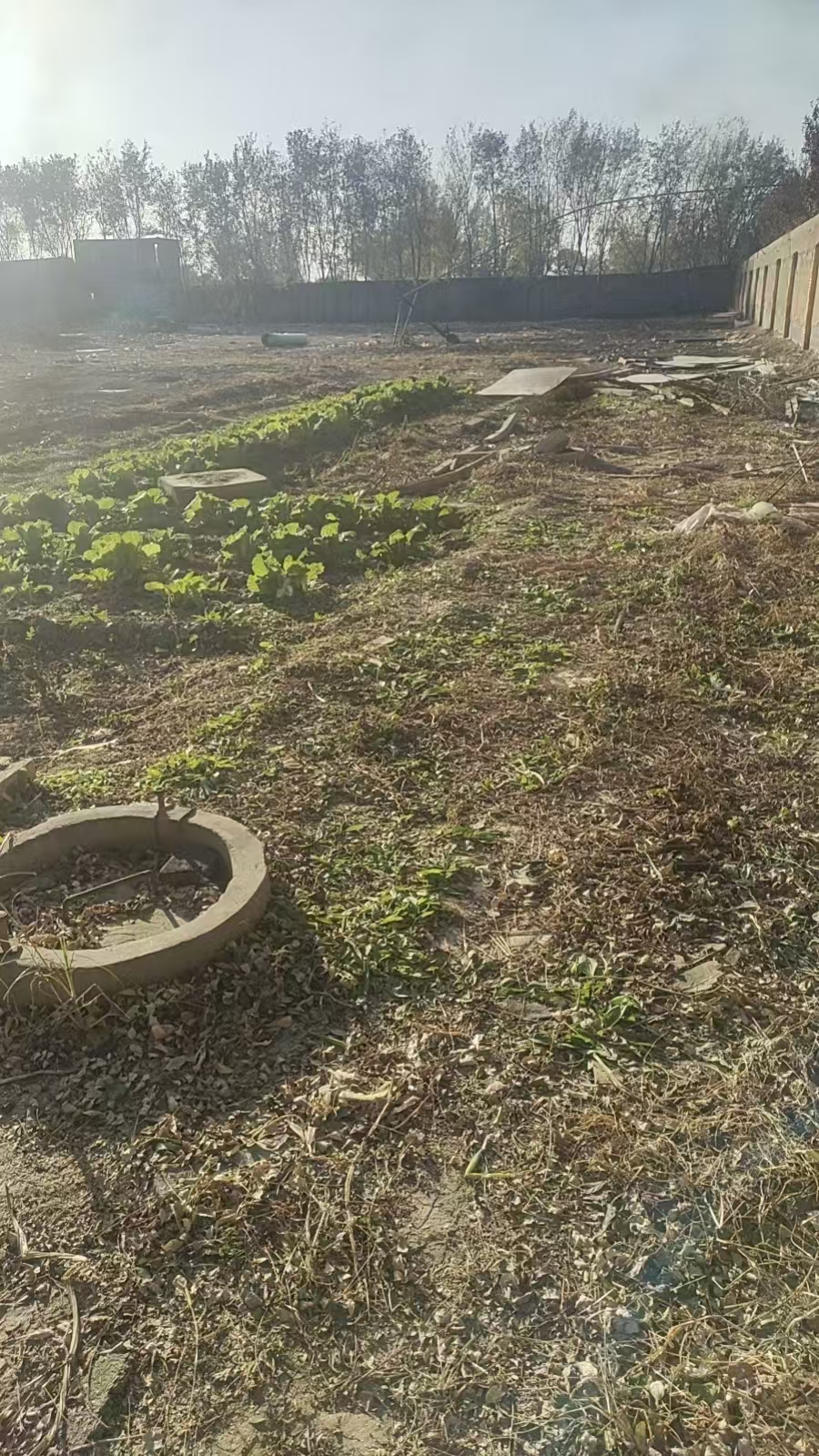 桓台县果里镇楼里村委独院场地出租