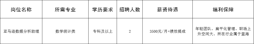 山东霍姆利斯国际贸易有限公司招聘亚马逊数据分析助理