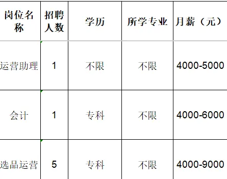 淄博乖娃娃服装销售有限责任公司招聘运营助理,会计,选品运营