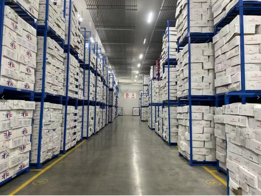 高标冷库+智能化仓储+配套服务