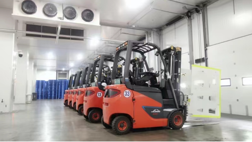 高标冷库+智能化仓储+配套服务