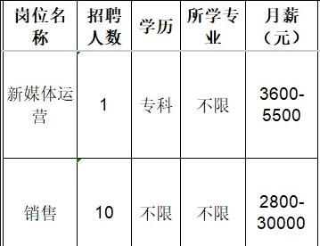 山东电盾科技股份有限公司招聘新媒体运营,销售