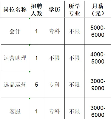 淄博乖娃娃服装销售有限责任公司招聘会计,运营助理,选品运营,客服