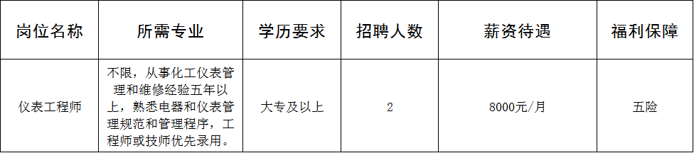 山东佰仕特新材料科技有限公司招聘仪表工程师