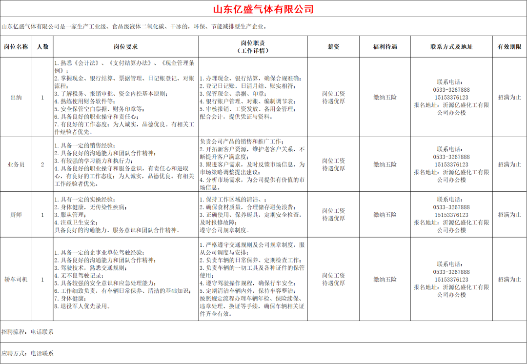 山东亿盛气体有限公司招聘出纳,业务员,厨师,轿车司机