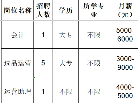 淄博乖娃娃服装销售有限责任公司招聘会计,选品运营,运营助理