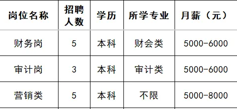 山东新星集团有限公司招聘财务人员,审计人员,营销人员